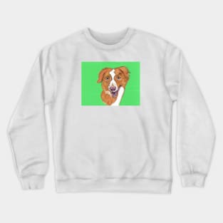 Older Brittany Spaniel Crewneck Sweatshirt